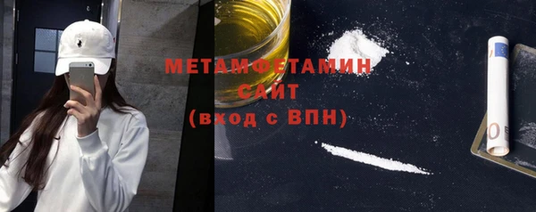 прущие грибы Каменногорск