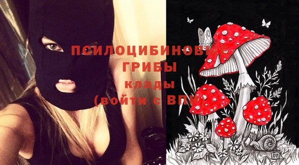 марки lsd Каменка