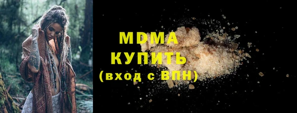 прущие грибы Каменногорск