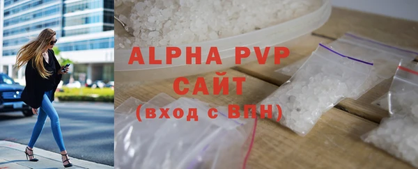 прущие грибы Каменногорск