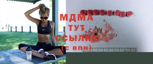 прущие грибы Каменногорск