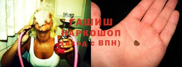 прущие грибы Каменногорск