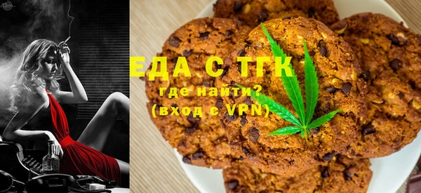 прущие грибы Каменногорск