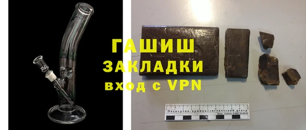 прущие грибы Каменногорск