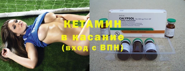 прущие грибы Каменногорск
