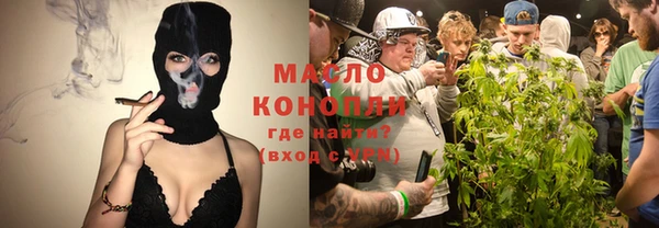 прущие грибы Каменногорск