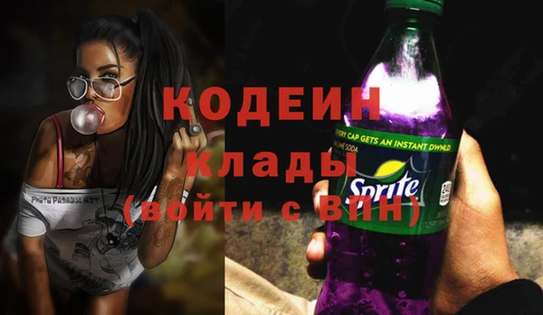 прущие грибы Каменногорск