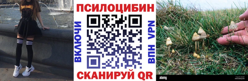 Галлюциногенные грибы мицелий  Купить  Усолье-Сибирское 